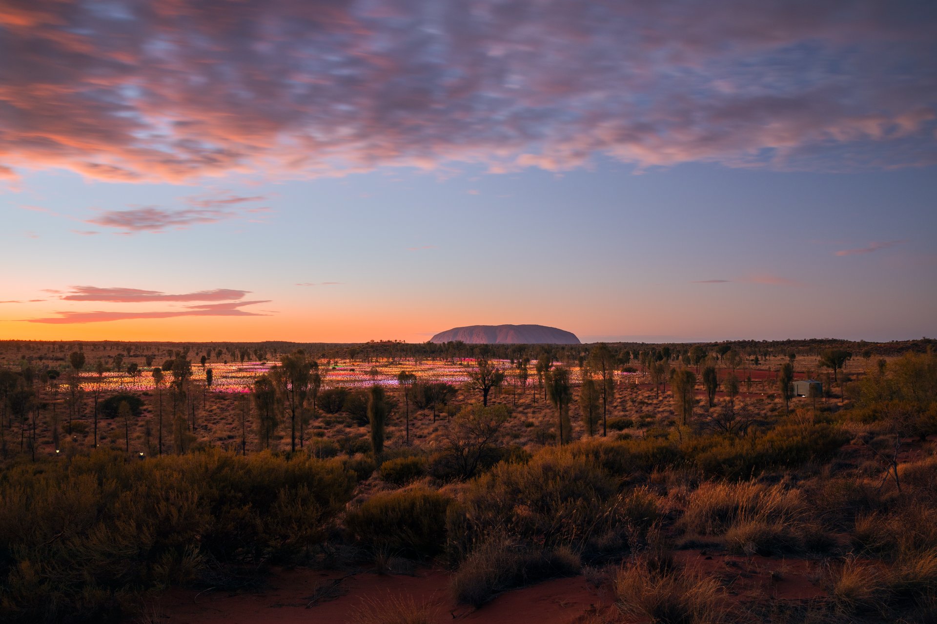 All about the Centre 4 day Red Centre luxury itinerary