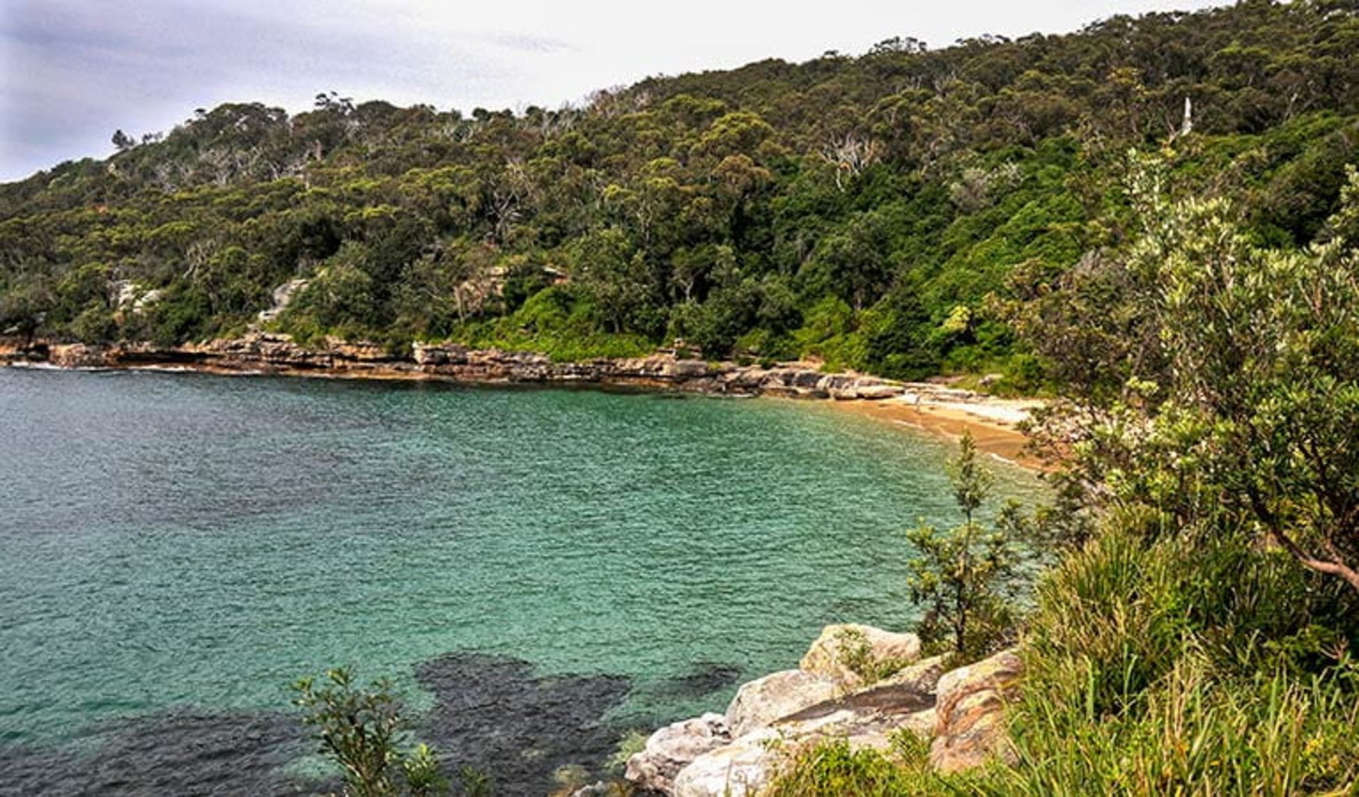 The best nudist beach in sydney, australia